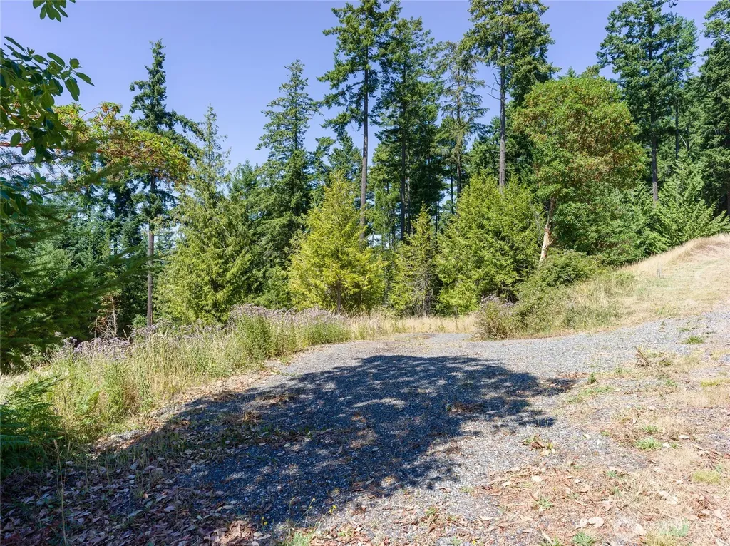 295 Rum Runner Road Lopez Island WA 98261