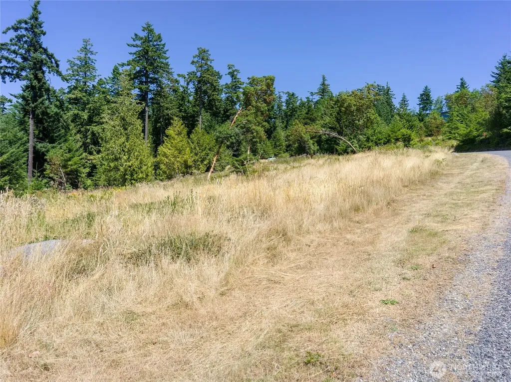 295 Rum Runner Road Lopez Island WA 98261