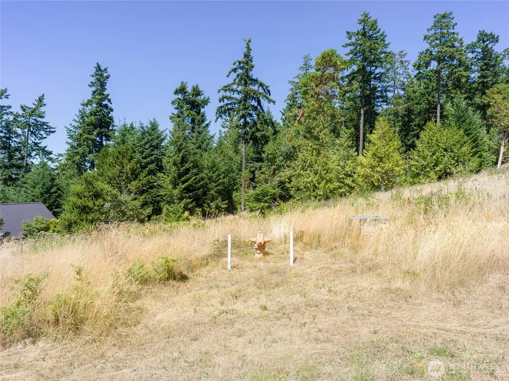 295 Rum Runner Road Lopez Island WA 98261