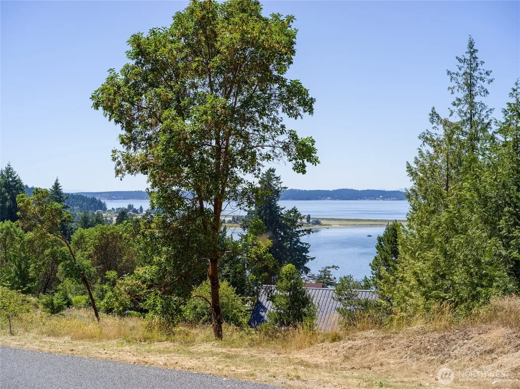 295 Rum Runner Road Lopez Island WA 98261
