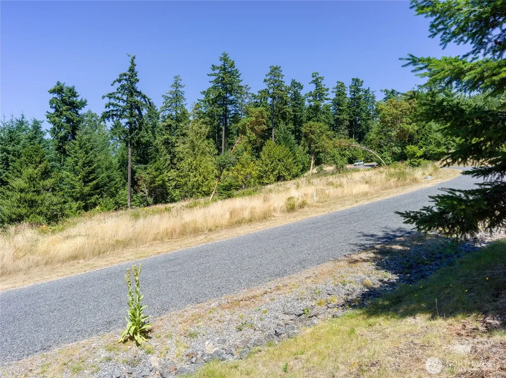 295 Rum Runner Road Lopez Island WA 98261