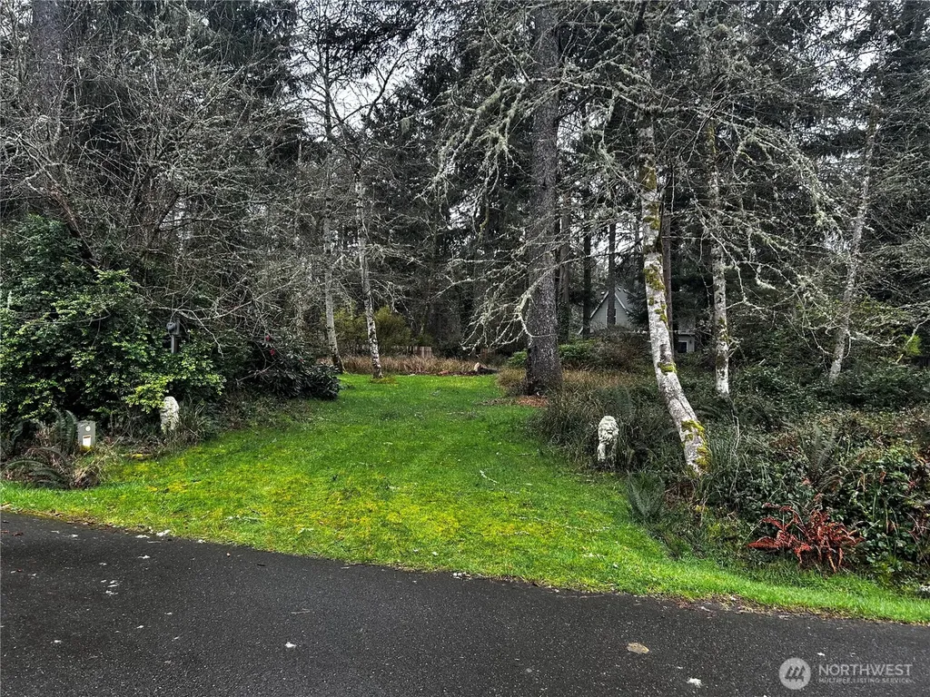 379 Eridani Loop SE Ocean Shores WA 98569