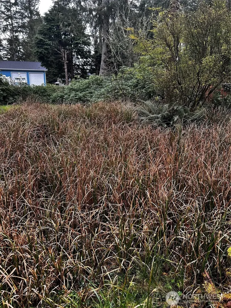 379 Eridani Loop SE Ocean Shores WA 98569