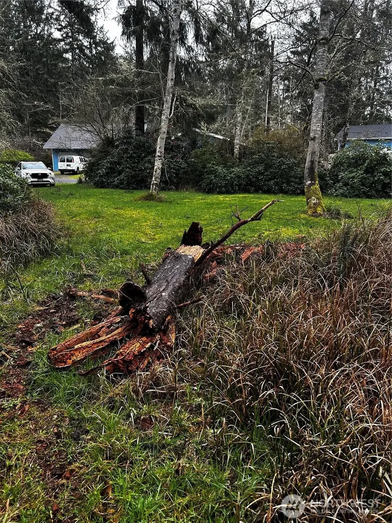 379 Eridani Loop SE Ocean Shores WA 98569