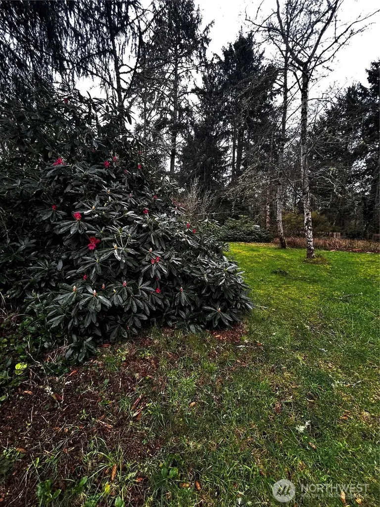 379 Eridani Loop SE Ocean Shores WA 98569