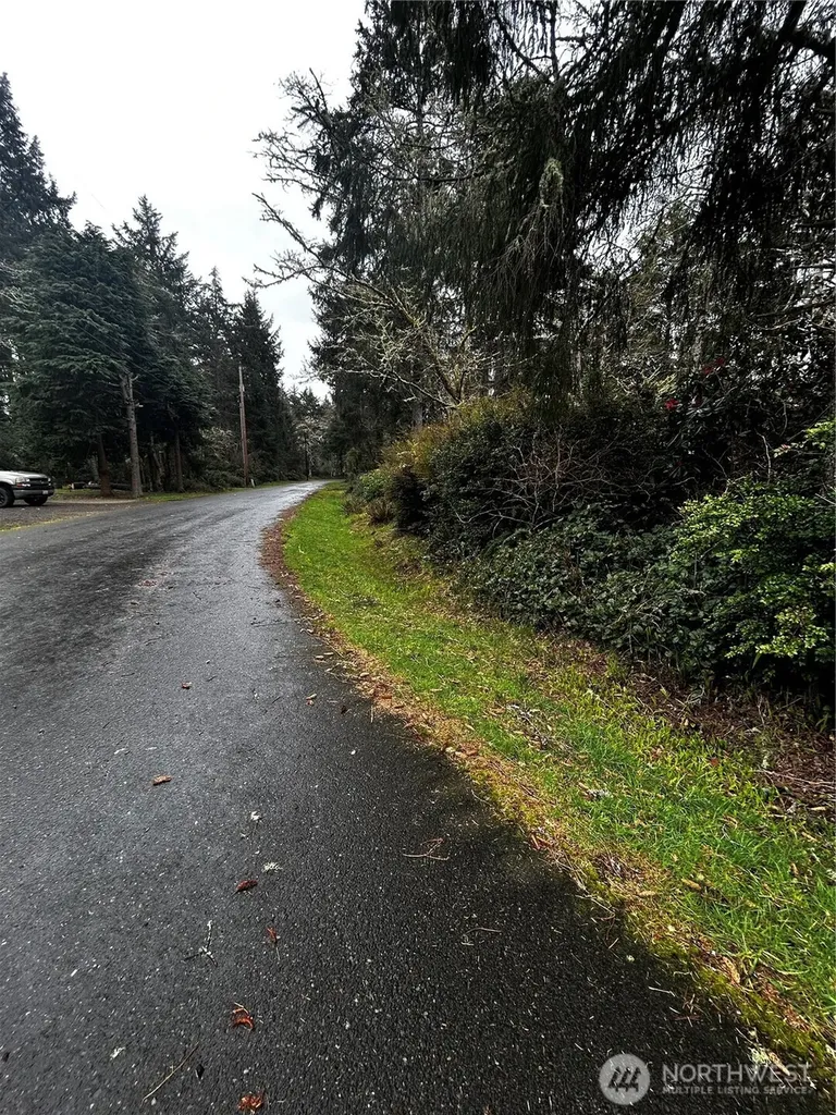 379 Eridani Loop SE Ocean Shores WA 98569