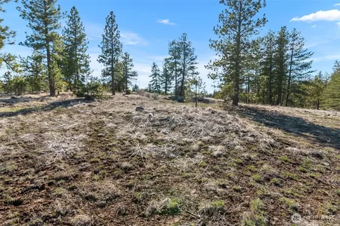 110 Blue Bird Lane East Wenatchee WA 98802