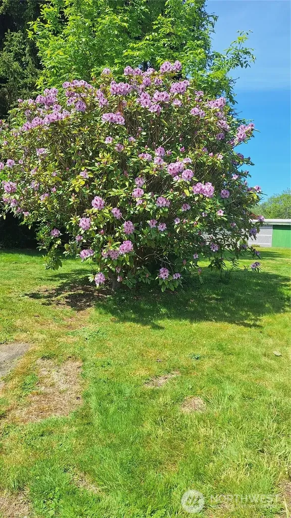 5714 118th Avenue Court Puyallup WA 98372