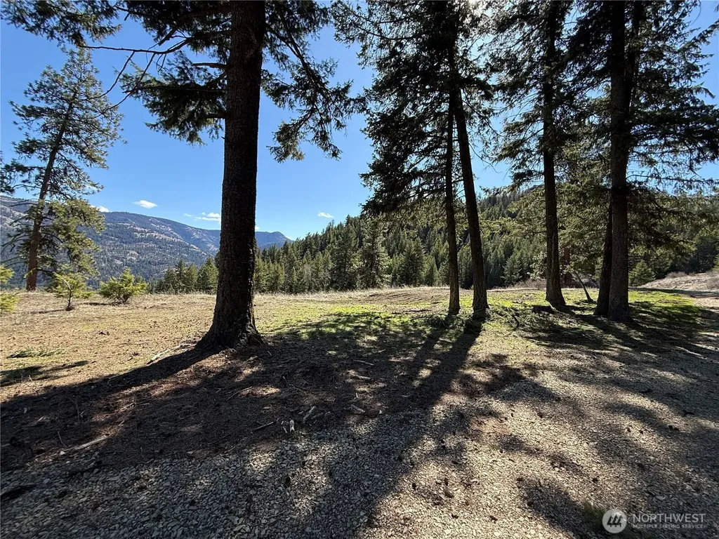 0 Coogan Creek Road Wauconda WA 98859