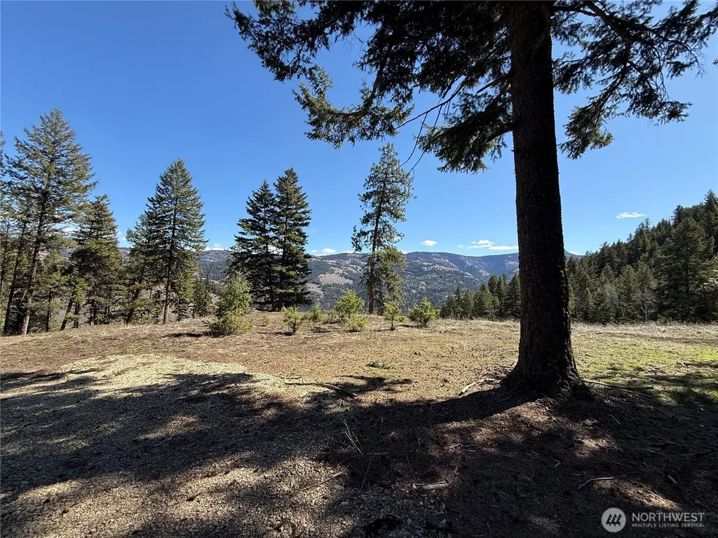 0 Coogan Creek Road Wauconda WA 98859