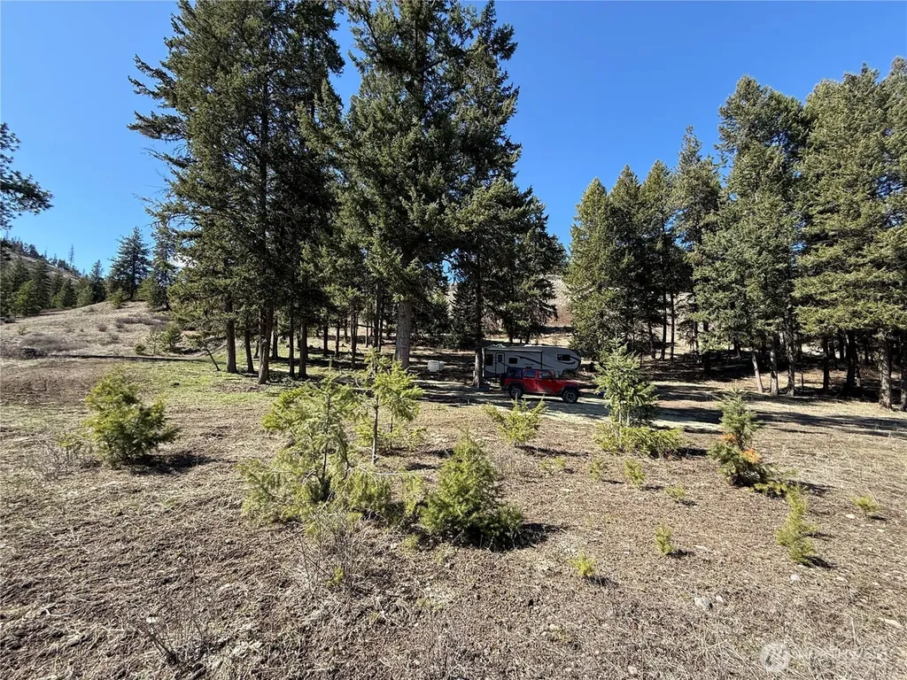 0 Coogan Creek Road Wauconda WA 98859