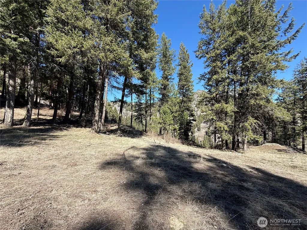 0 Coogan Creek Road Wauconda WA 98859