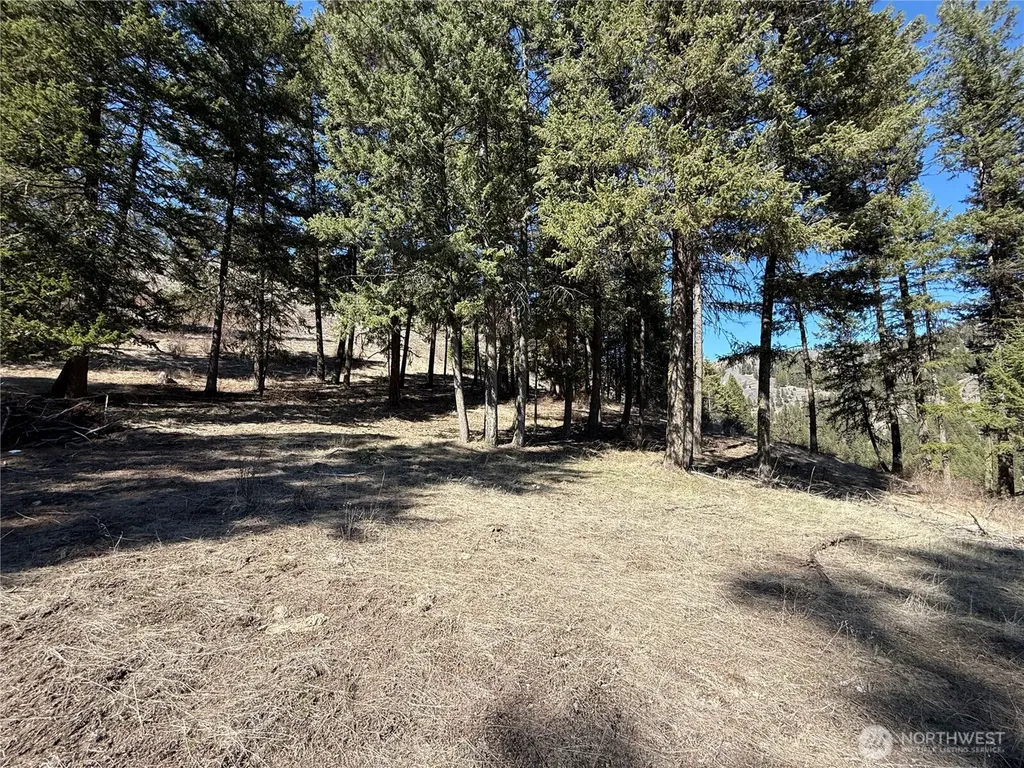 0 Coogan Creek Road Wauconda WA 98859