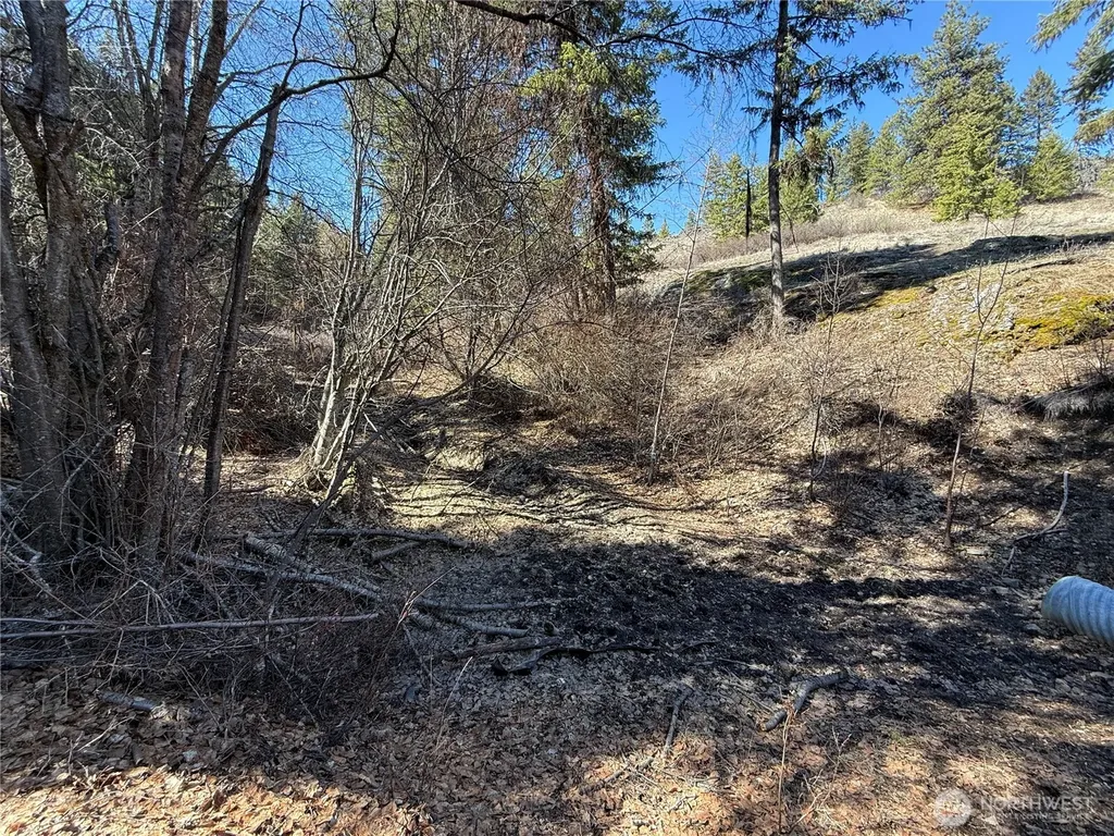 0 Coogan Creek Road Wauconda WA 98859