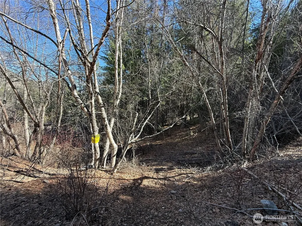 0 Coogan Creek Road Wauconda WA 98859
