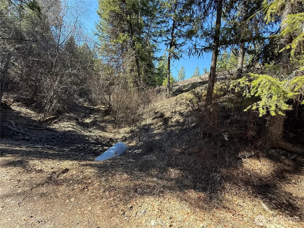 0 Coogan Creek Road Wauconda WA 98859