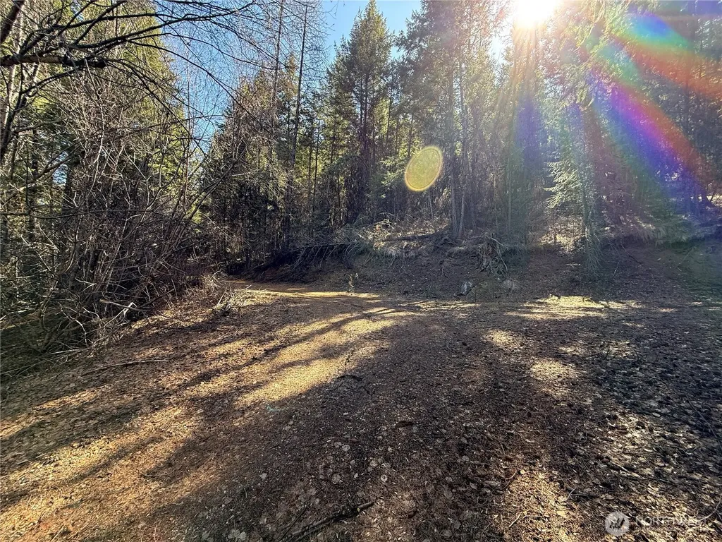 0 Coogan Creek Road Wauconda WA 98859