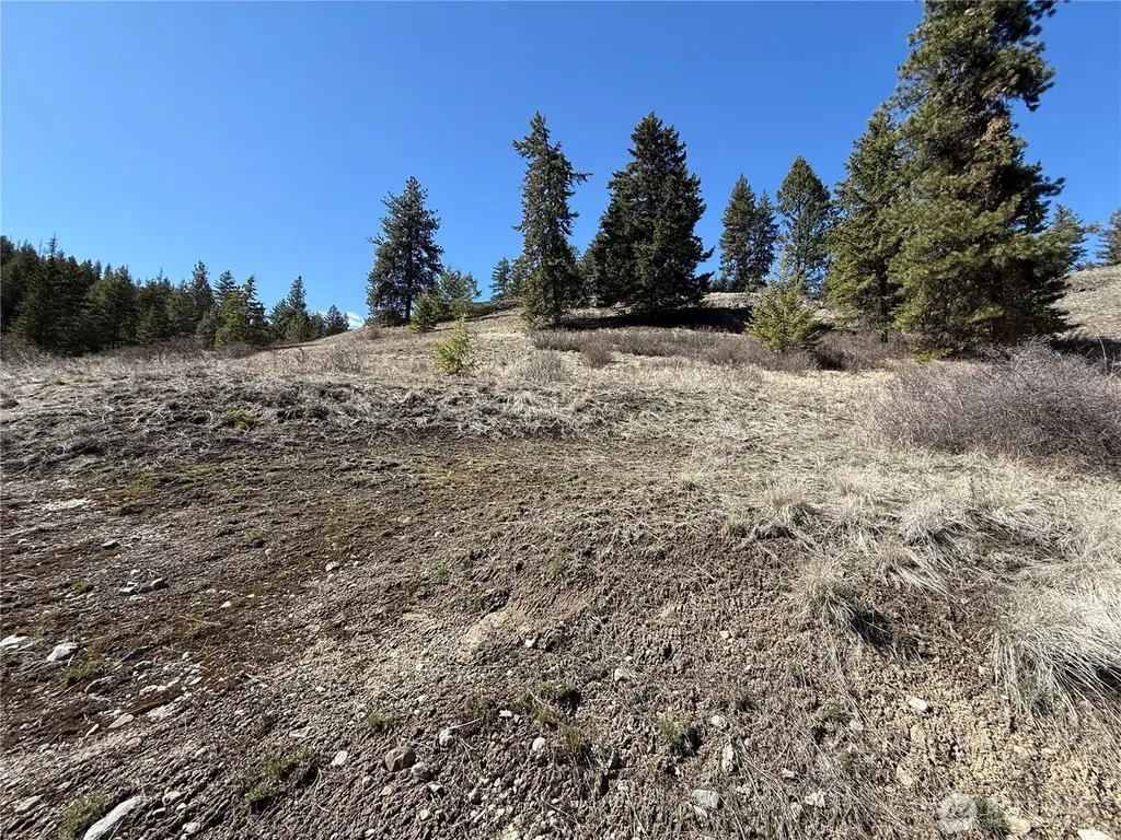 0 Coogan Creek Road Wauconda WA 98859