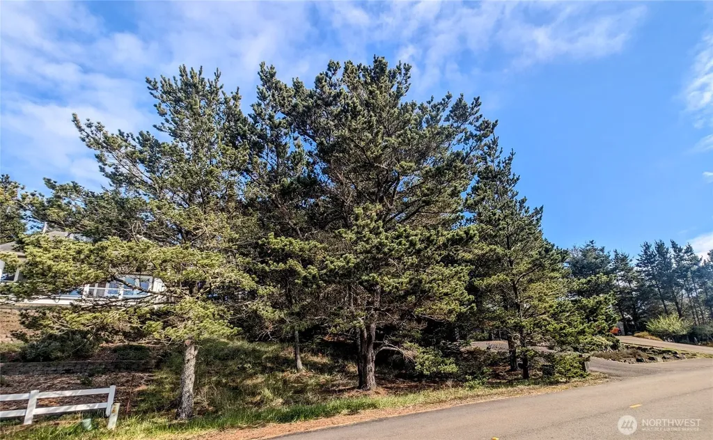 35512 J Place Ocean Park WA 98640