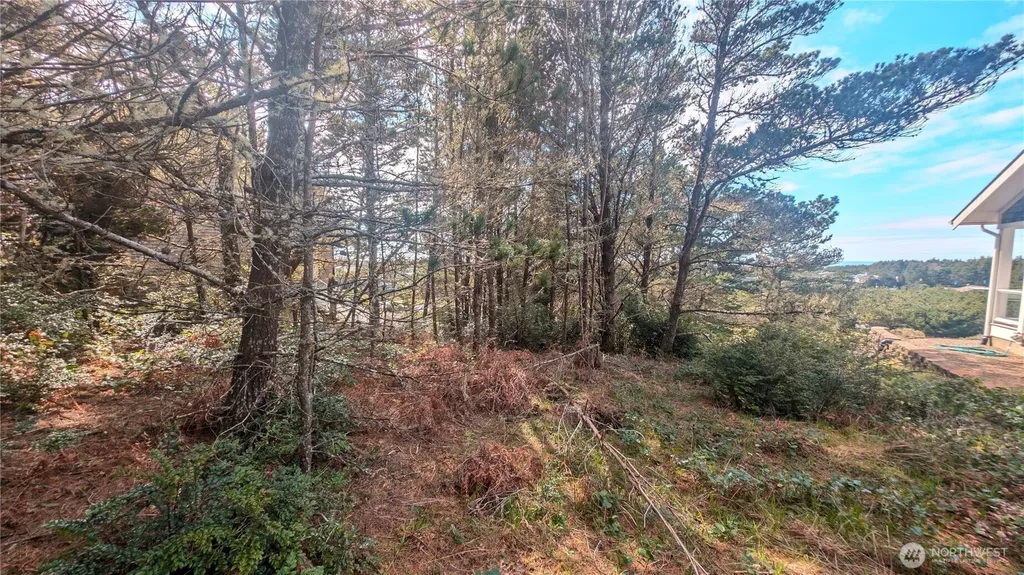 35512 J Place Ocean Park WA 98640