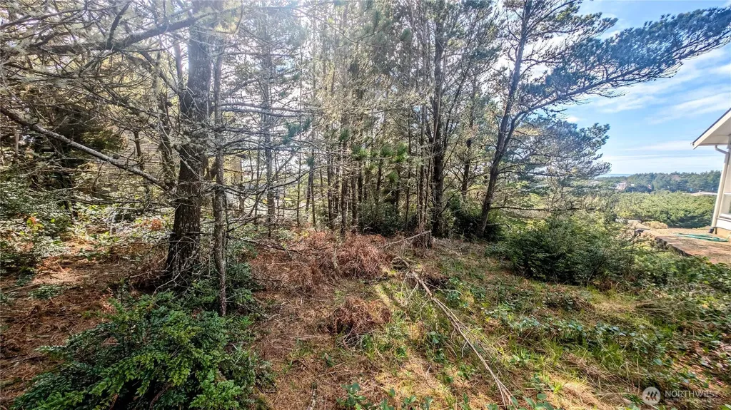 35512 J Place Ocean Park WA 98640