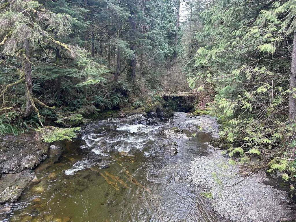 31930 Dotson Road Monroe WA 98272