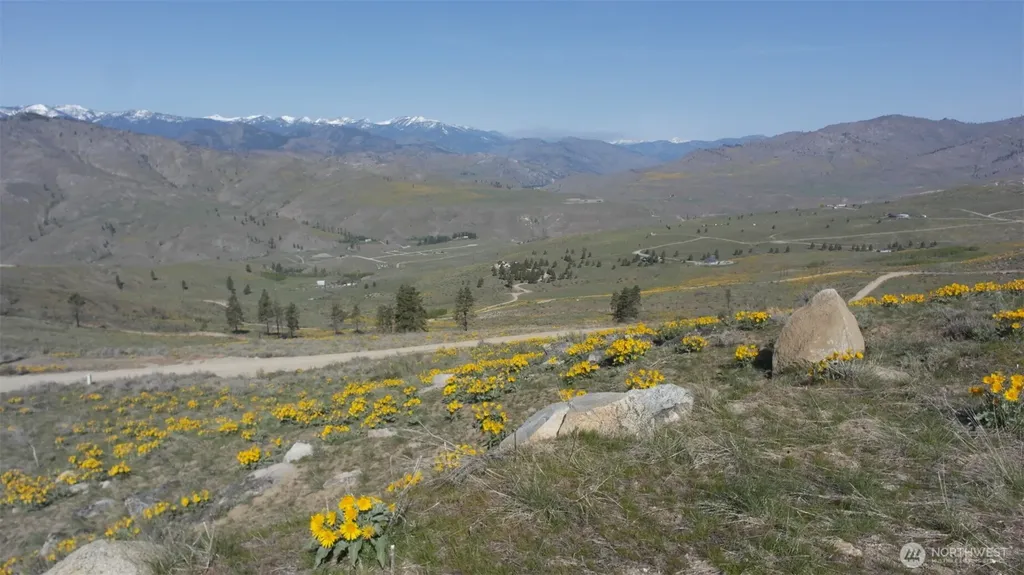 31 Cowboy Road Methow WA 98834