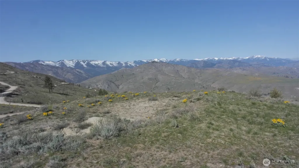 31 Cowboy Road Methow WA 98834