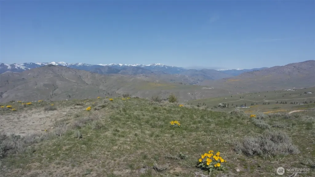 31 Cowboy Road Methow WA 98834