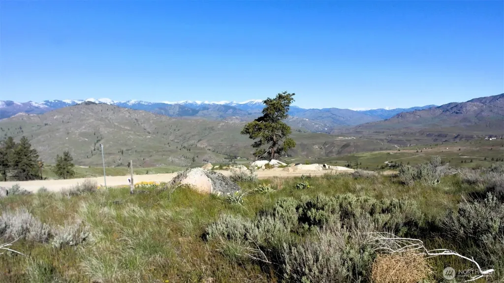 31 Cowboy Road Methow WA 98834