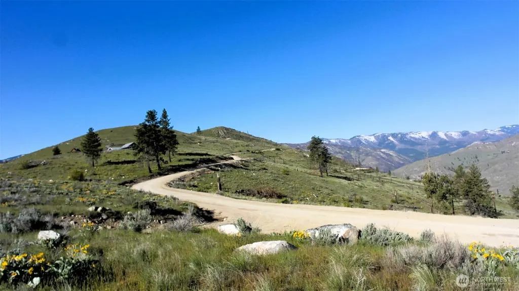 31 Cowboy Road Methow WA 98834