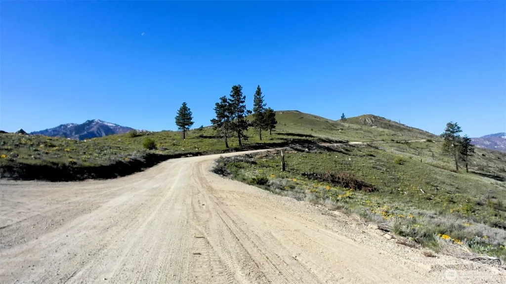 31 Cowboy Road Methow WA 98834