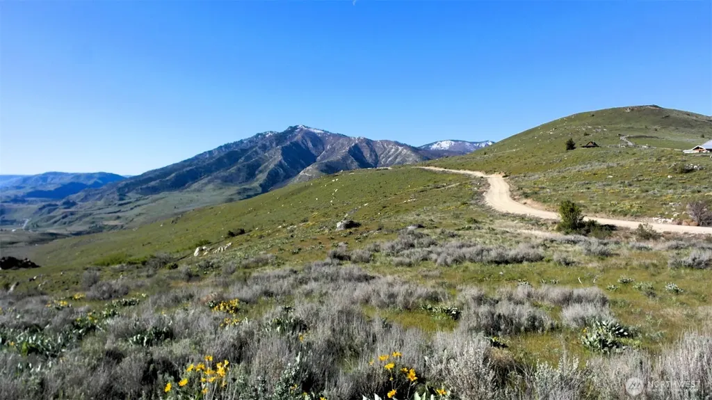 31 Cowboy Road Methow WA 98834