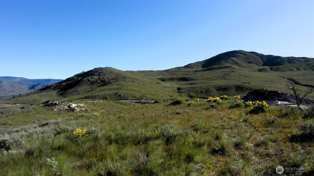 31 Cowboy Road Methow WA 98834