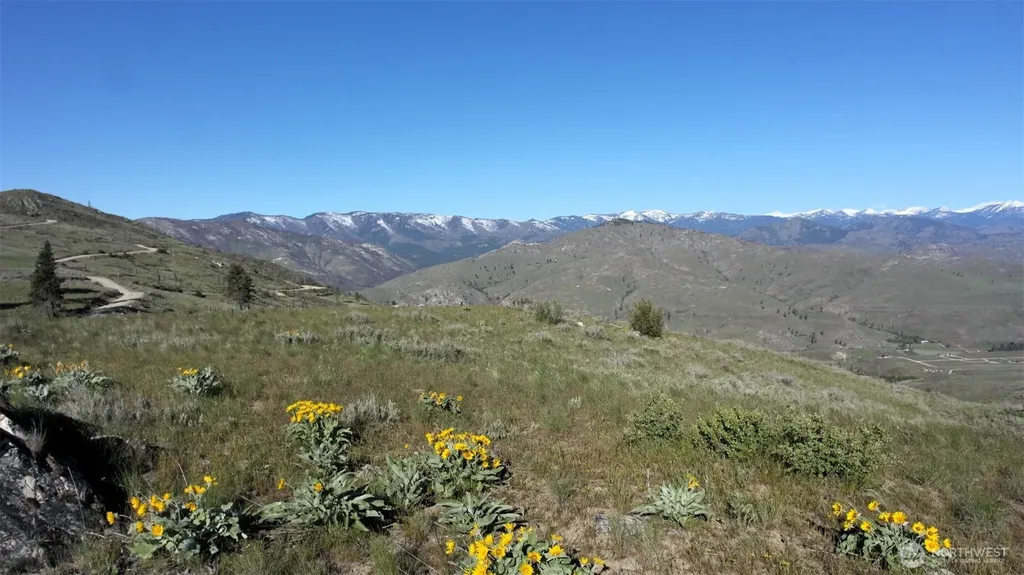 31 Cowboy Road Methow WA 98834
