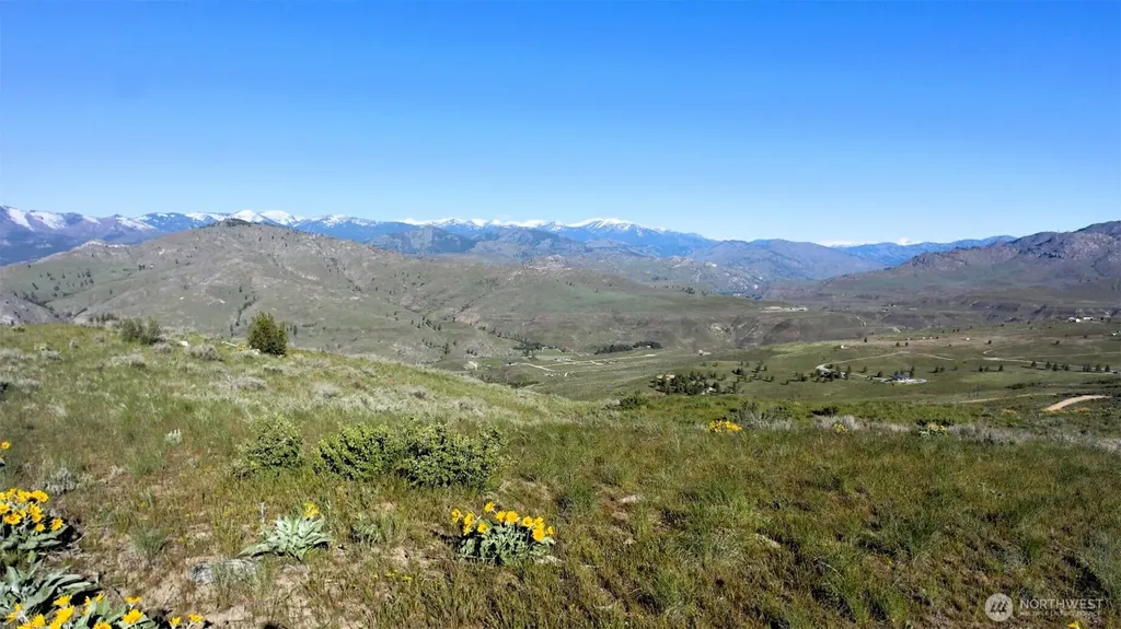 31 Cowboy Road Methow WA 98834