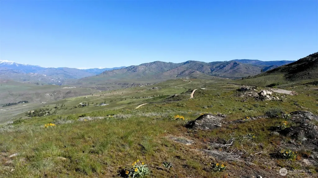 31 Cowboy Road Methow WA 98834