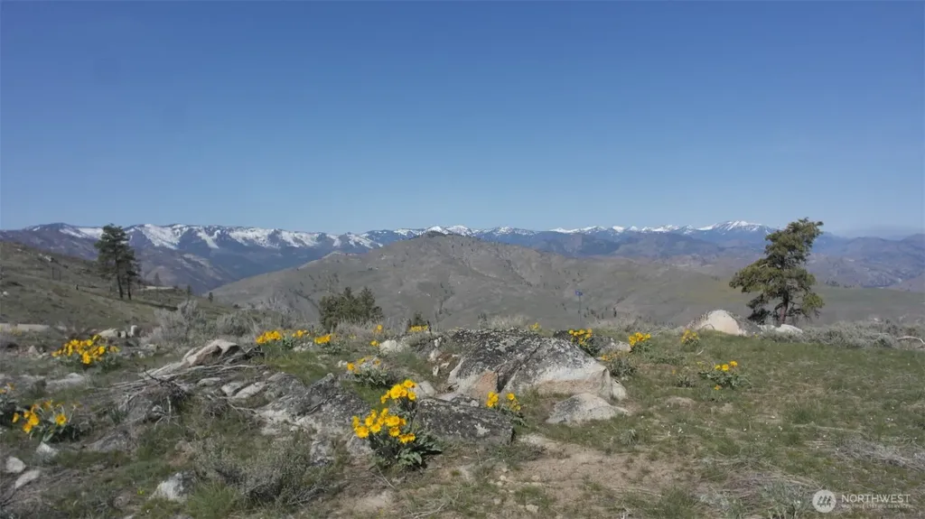 31 Cowboy Road Methow WA 98834