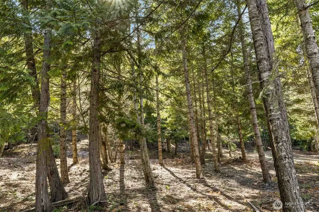74 Liberty Bell Lane Cle Elum WA 98922