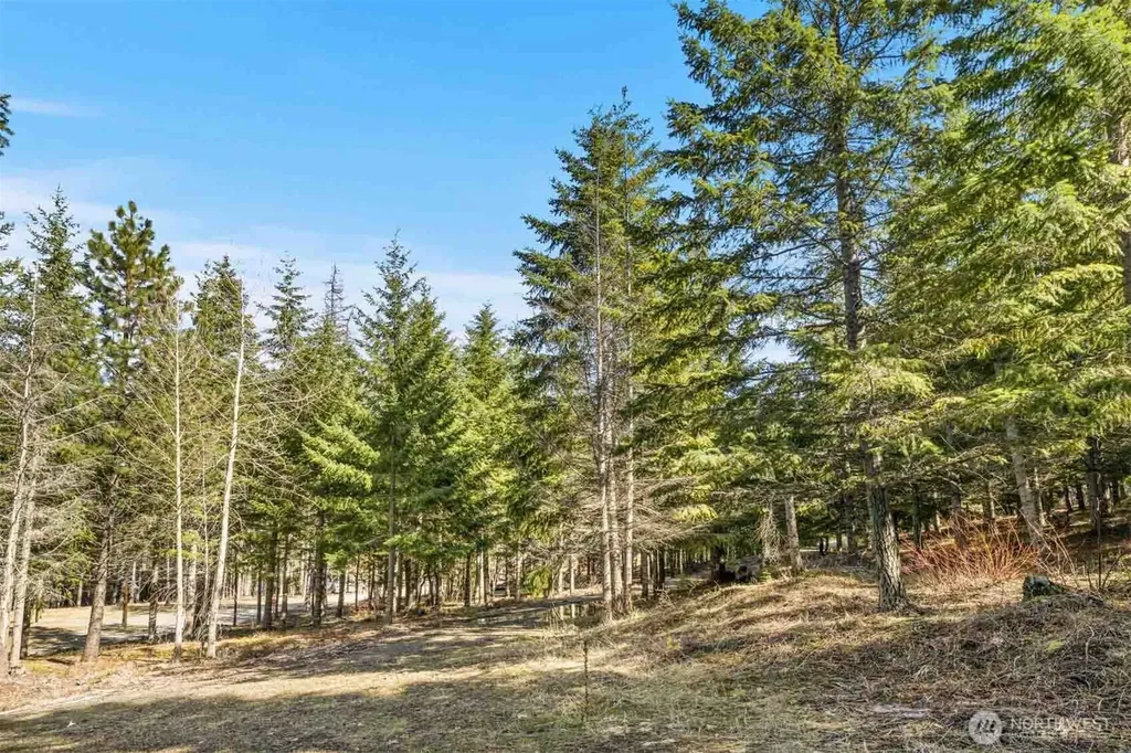 74 Liberty Bell Lane Cle Elum WA 98922