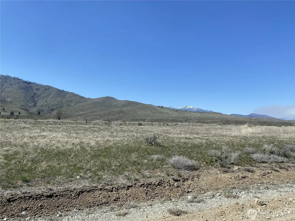 4 Brook Trout Lane Methow WA 98834