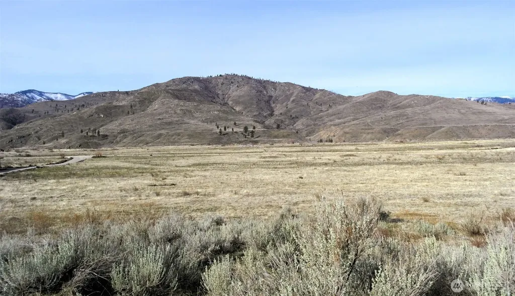 4 Brook Trout Lane Methow WA 98834