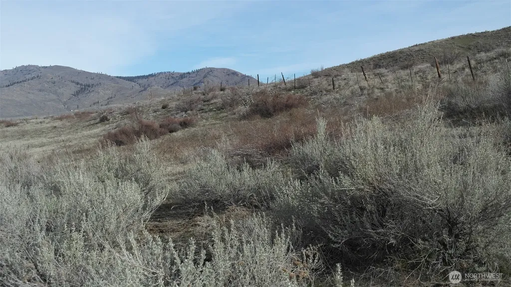 4 Brook Trout Lane Methow WA 98834