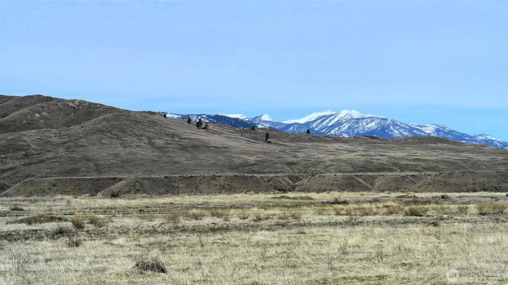 4 Brook Trout Lane Methow WA 98834