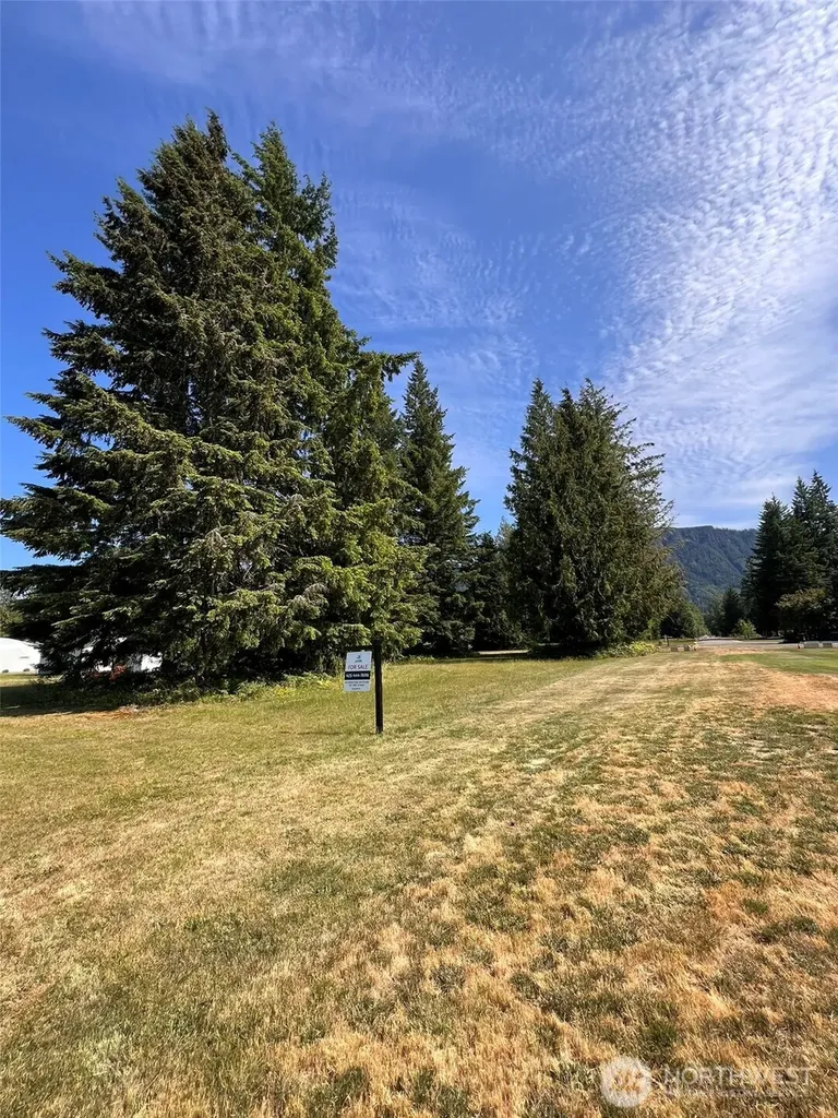 0 Shelton Road Randle WA 98377