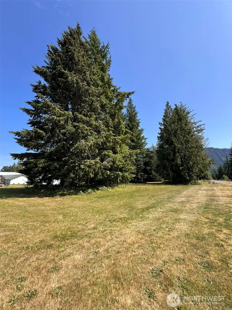 0 Shelton Road Randle WA 98377