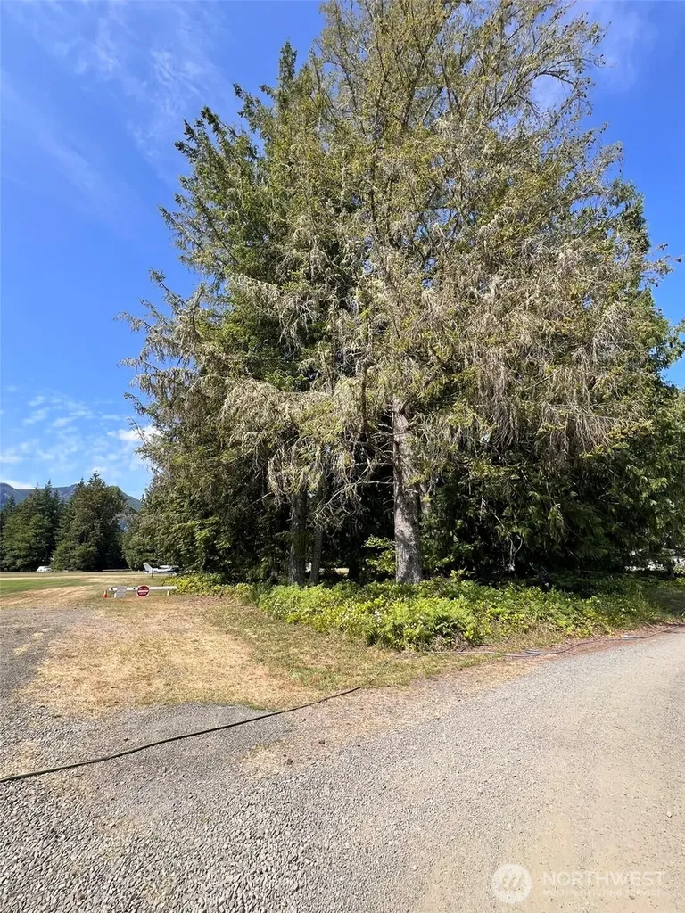 0 Shelton Road Randle WA 98377