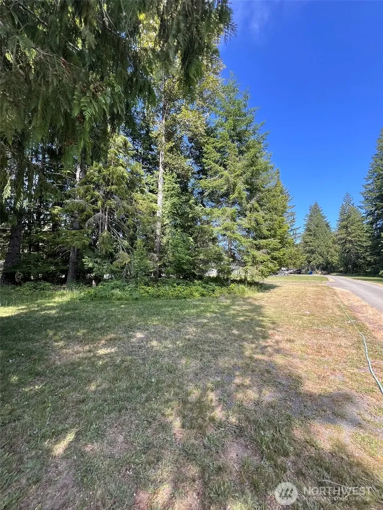 0 Shelton Road Randle WA 98377