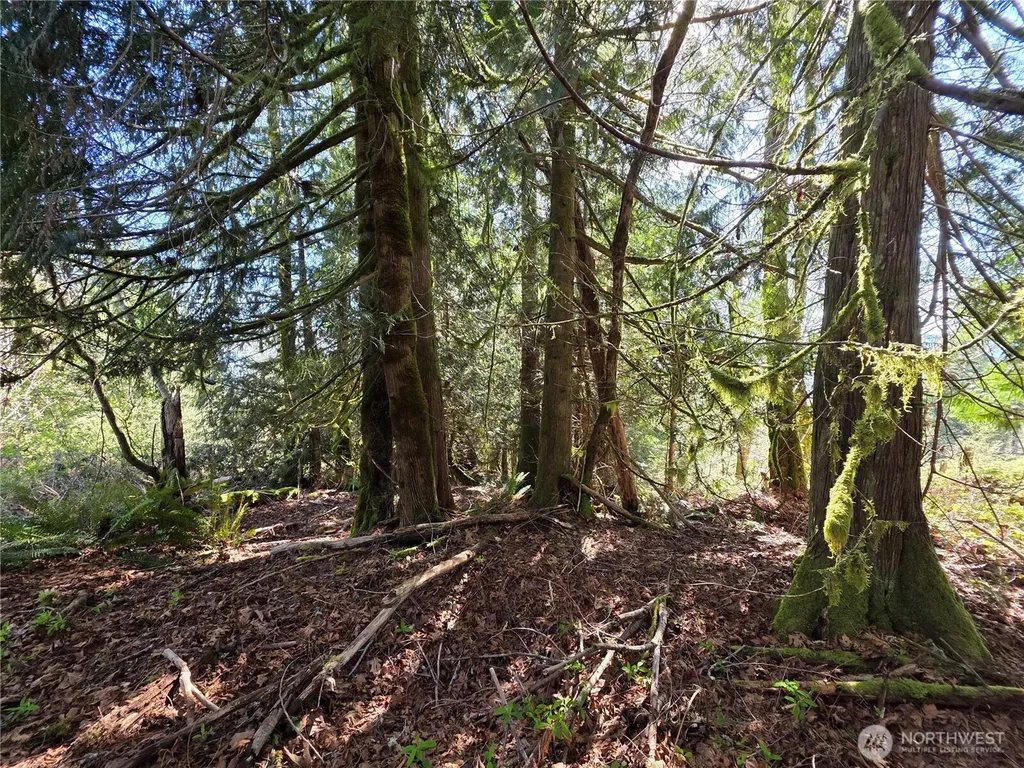 0 Cedar Place Brinnon WA 98320
