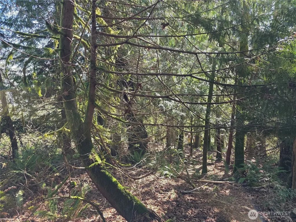 0 Cedar Place Brinnon WA 98320